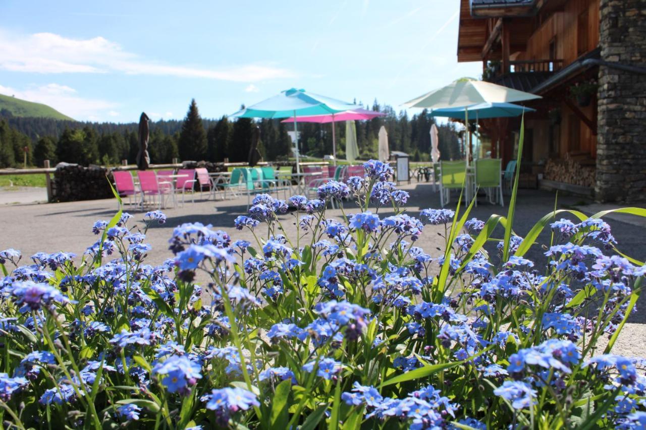 Chalet Hotel Vaccapark Le Praz de Lys Exteriér fotografie