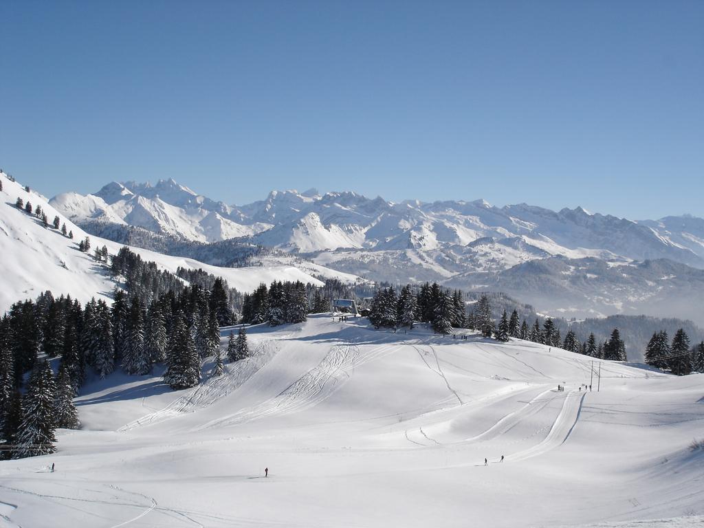 Chalet Hotel Vaccapark Le Praz de Lys Exteriér fotografie